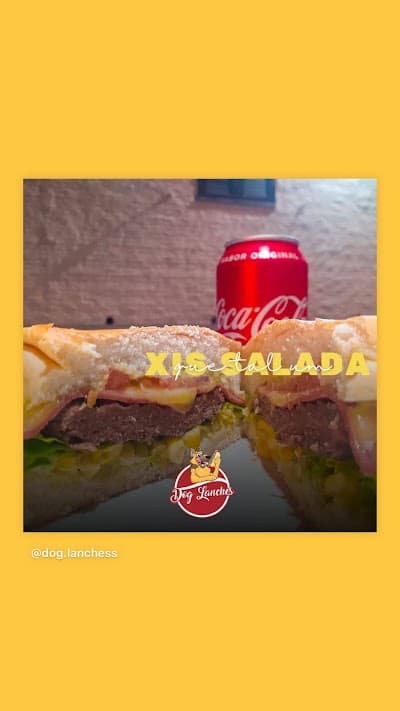 Dog Lanches - Foto 8
