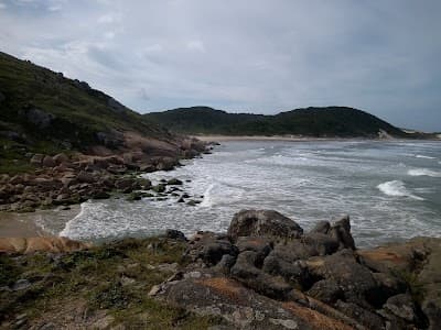 MANA'S - Foto 7
