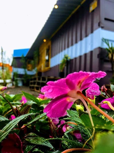 Santo Food Park - Foto 7