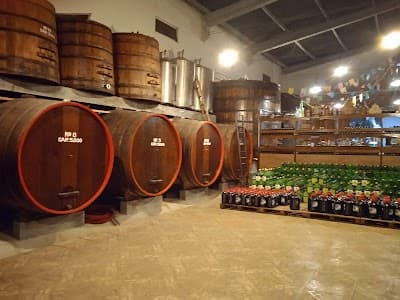 Vinhos Dallarmi - Foto 2