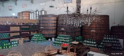 Vinhos Dallarmi - Foto 7