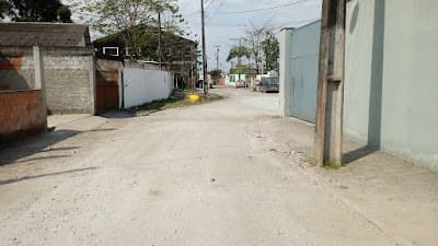 Vincit & CIA - Foto 2