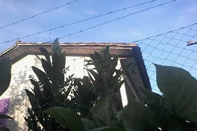 Zero Grau - Foto 5