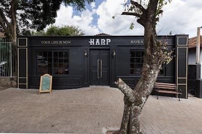 Harp Pub - Foto 5