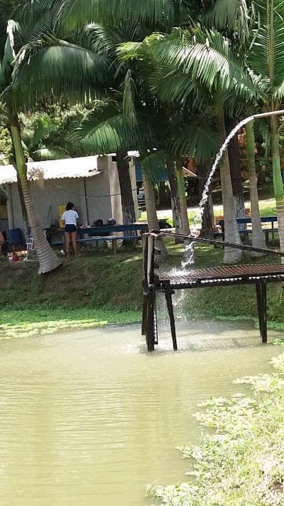 Petiscaria Rancho Porteira - Foto 5