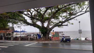 Restaurante Ponta de Baixo - Foto 6