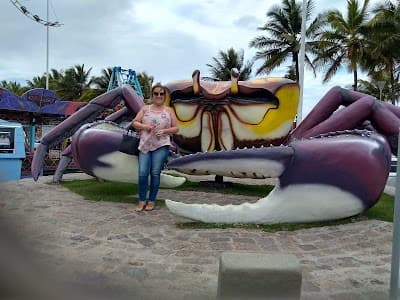 Pescobras - Foto 5