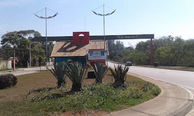 THAMA Alimentos - Foto 4