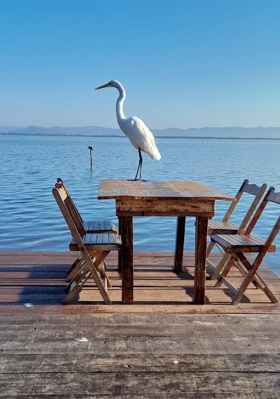 Fundo de Bateira Restaurante e Petiscaria - Foto 4