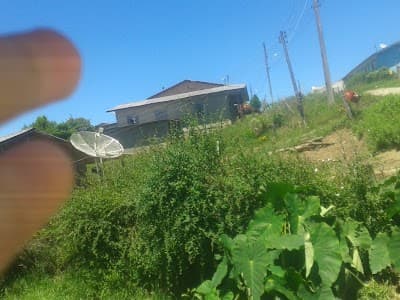 Menezes Doces E Salgados/ Sabor Do Sul - Foto 2