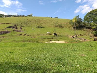 Pesqueiro Agua limpa - Foto 3