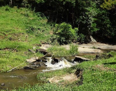 Pesqueiro Agua limpa - Foto 4
