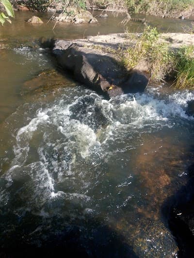 Pesqueiro Agua limpa - Foto 8