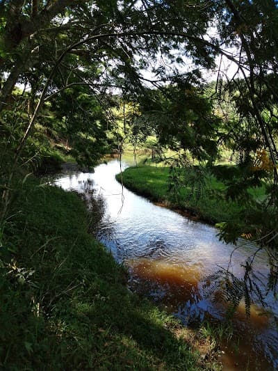 Pesqueiro Agua limpa - Foto 9