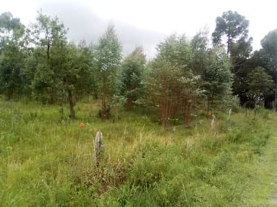 Rancho Tio Gueba - Foto 7