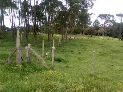 Rancho Tio Gueba - Foto 8