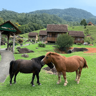 Paraíso Enxaimel Mundo Antigo - Foto 4