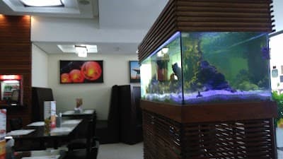 China In Box - Bauru - Foto 4