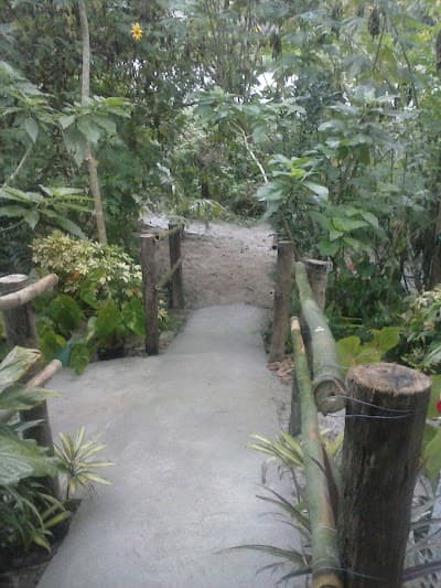 Rancho Vô Chico - Foto 3