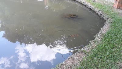 Balneário Água Azul - Foto 2