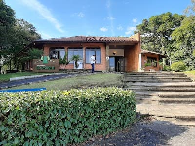 Restaurante Parque dos Pinheiros - Farroupilha - Foto 4