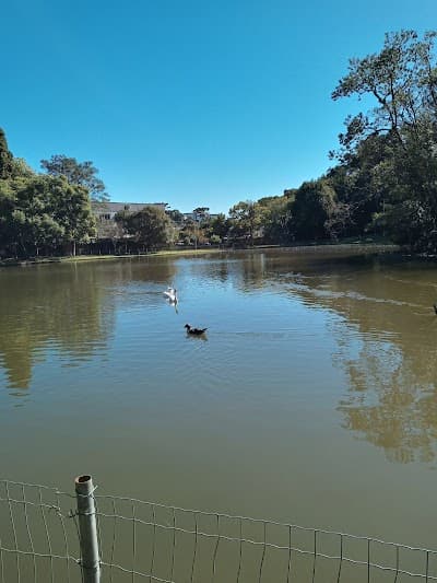 Restaurante Parque dos Pinheiros - Farroupilha - Foto 5