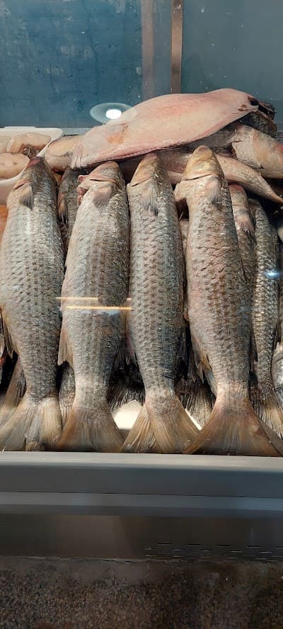 Mercado do Peixe - Foto 4