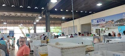 Mercado do Peixe - Foto 5