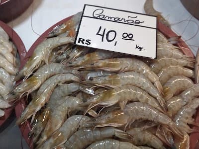 Mercado do Peixe - Foto 6