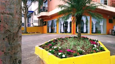 Dogão da Marcia Lanches e Porções - Foto 2
