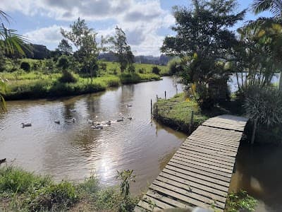 Centro de Eventos Terra Nostra - Foto 7