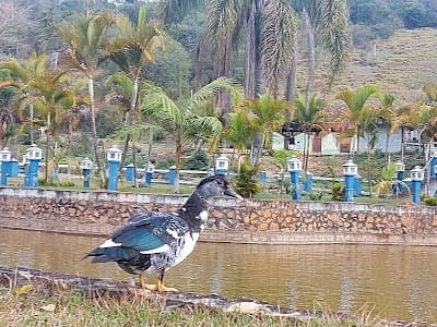 Recanto Mineiro - Foto 6
