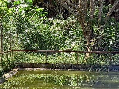 Recanto Mineiro - Foto 10