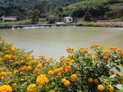 Pesque e Pague 3 Lagoas - Foto 3
