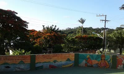 Pirão d'Água - Foto 10