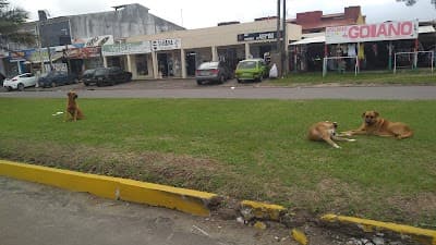 Xis Maré Alta - Foto 8