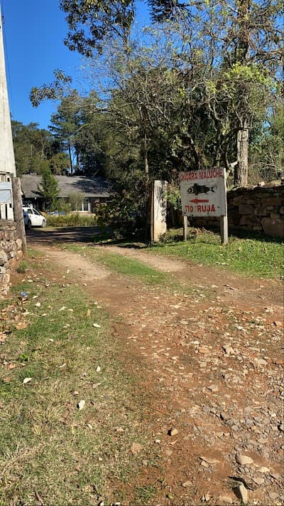 Tio Ruja - Foto 4