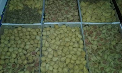 Tonys salgados - Foto 3