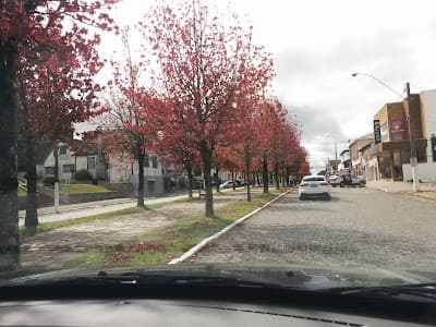 Galeteria Casa da Dinda - Foto 9