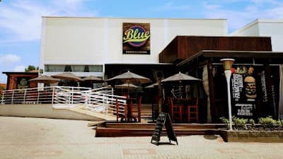 Blue Brasil - Foto 1