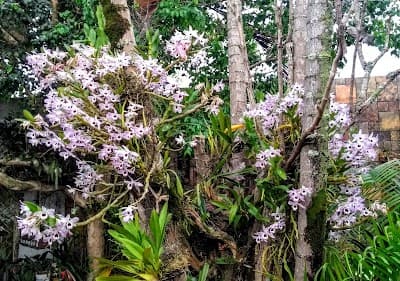 Espaço Varanda - Foto 4