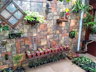 Espaço Varanda - Foto 5
