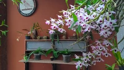 Espaço Varanda - Foto 10