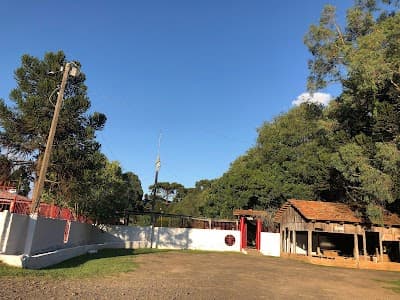 Pesque e Pague do Madruga - Foto 4