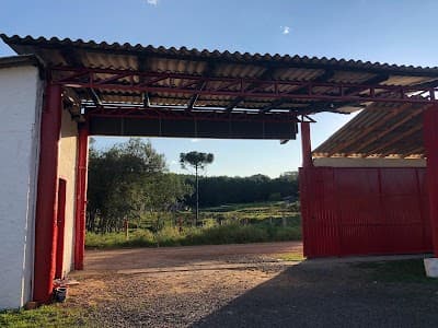 Pesque e Pague do Madruga - Foto 7
