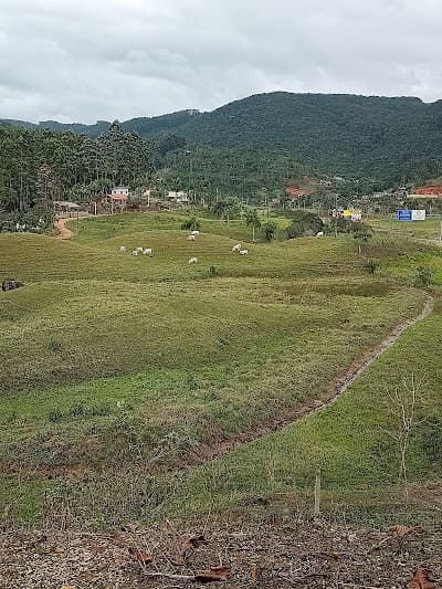 Souza - Caldo de Cana - Foto 7