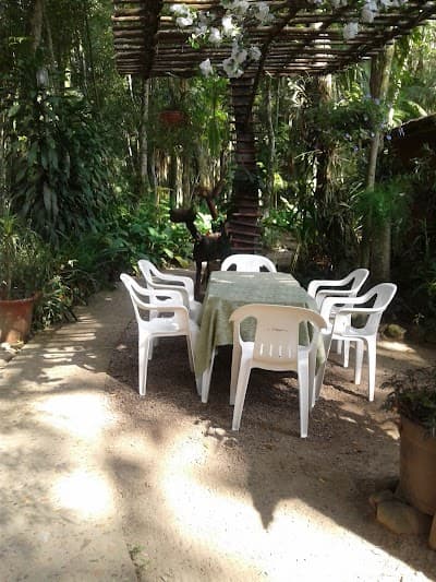 Ilha das Bromélias