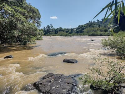 Ilha das Bromélias - Foto 3