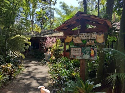 Ilha das Bromélias - Foto 4