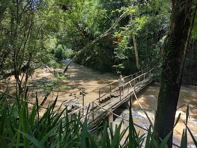 Ilha das Bromélias - Foto 5